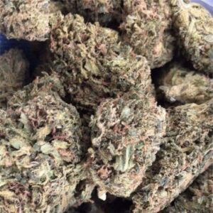 Buy Blue Dream weed strain