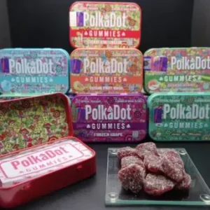 Buy PolkaDot Mushroom Gummies 4G